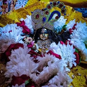 Meet your Posher, Karishma